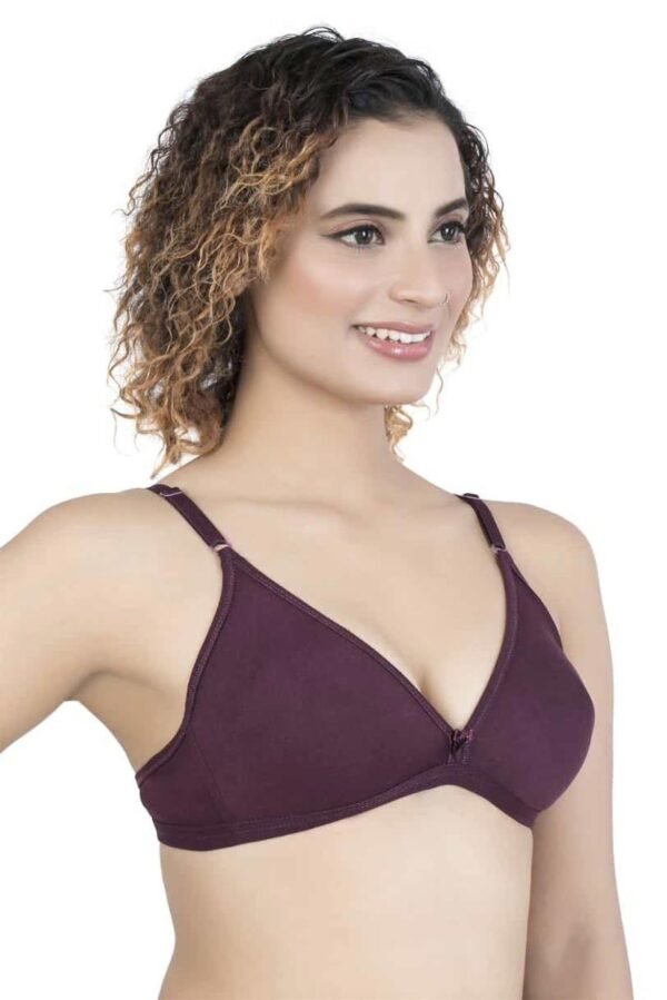 LUNAIN Mani Women's Non Padded Non Wired Cotton Lycra Fabric Bra with Special Broad Strap (Voilet)