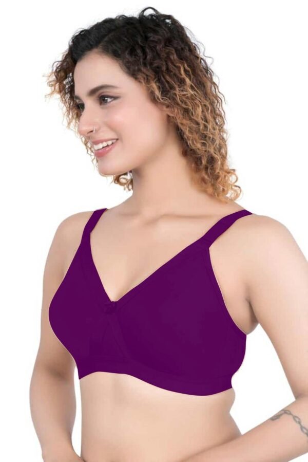2-145.jpg LUNAIN Ritika Modal Cup Bra for Womens (Purple)