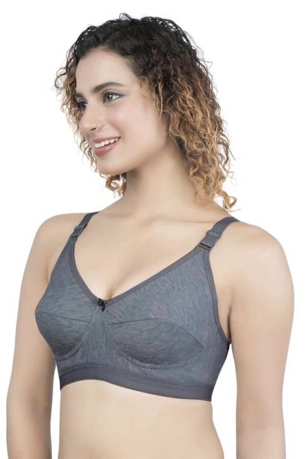 LUNAIN Soniya Cup B Bra for Women (Gray)