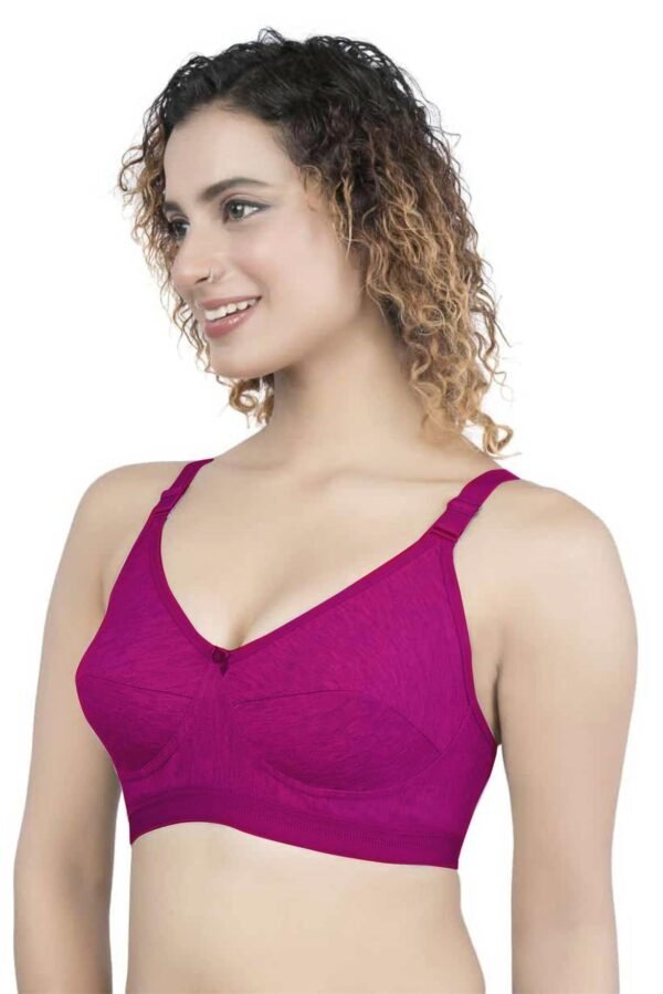 2-152.jpg LUNAIN Soniya Cup B Bra for Women (Pink)